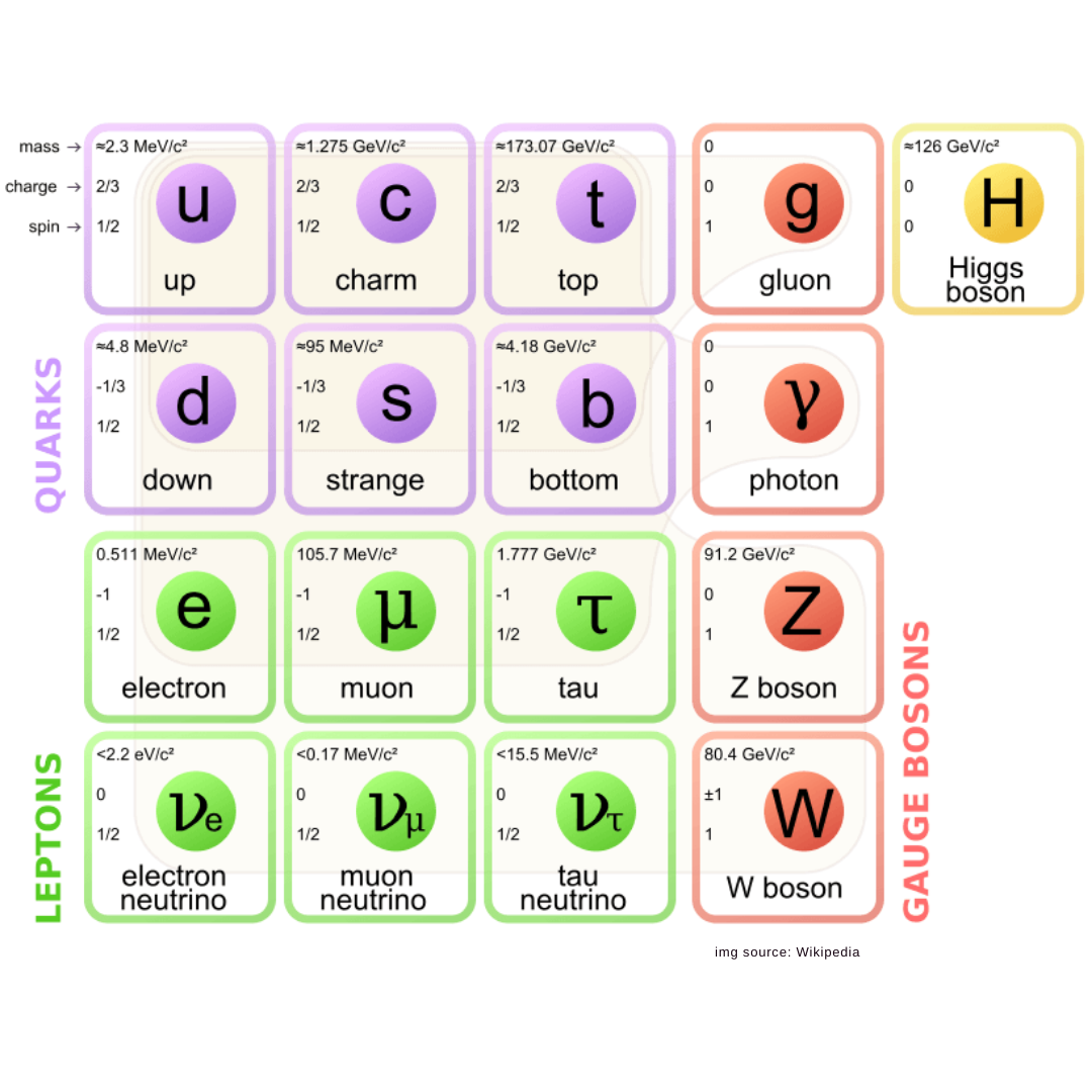 standard model